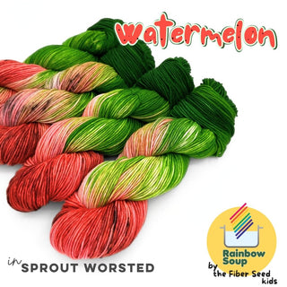 Watermelon | Sprout Worsted