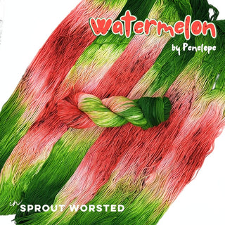 Watermelon | Sprout Worsted