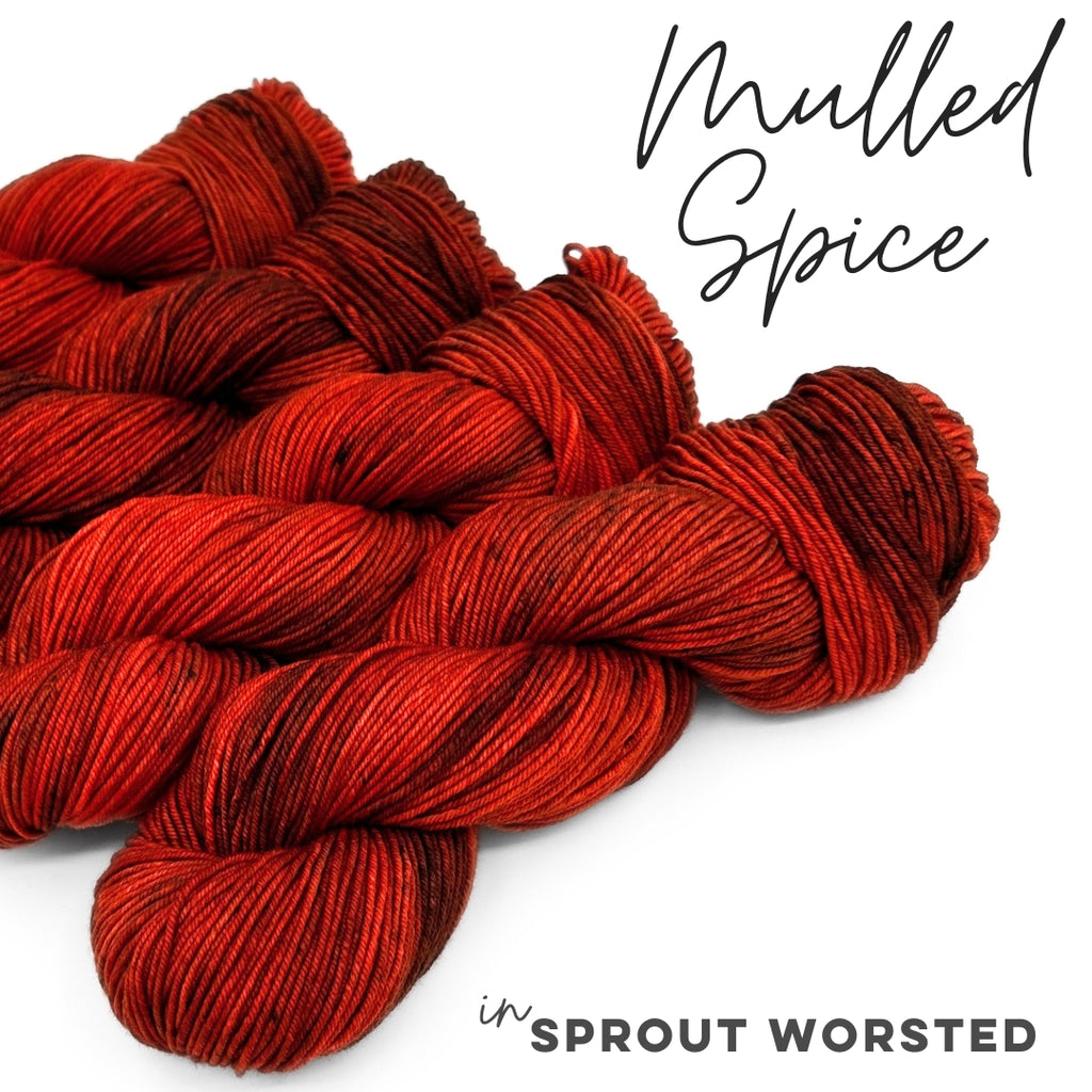 Mulled Spice | Sprout Worsted – Fiber Seed Yarn Co.