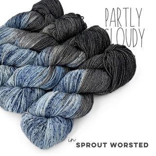 Partly Cloudy | Sprout Worsted