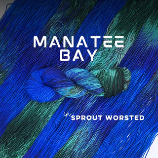 Manatee Bay | Sprout Worsted