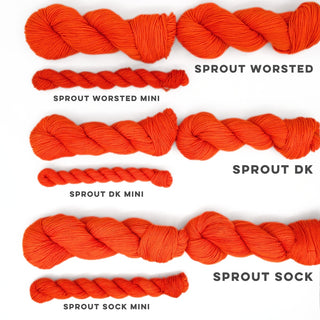 Safety Orange | Sprout Sock Mini