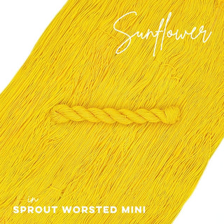 Sunflower | Sprout Worsted Mini