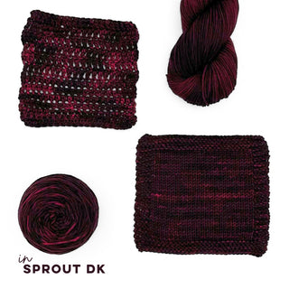 Black Cherry | Sprout DK