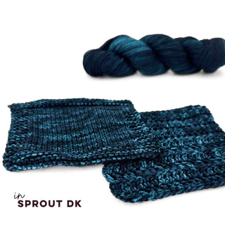 Bering Sea | Sprout Worsted