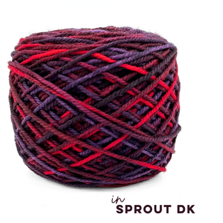 Dragon's Tail | Sprout Worsted