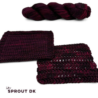 Black Cherry | Sprout DK