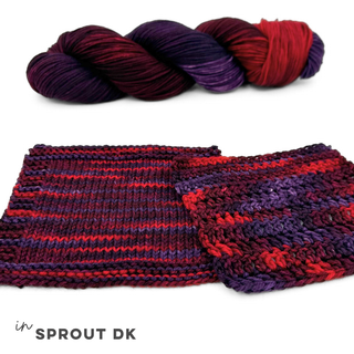 Dragon's Tail | Sprout Worsted