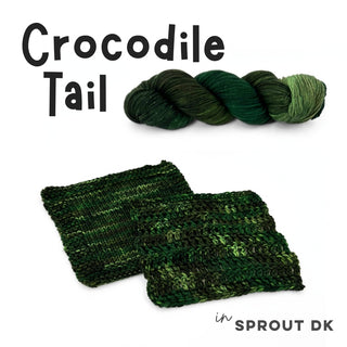 Crocodile Tail | Sprout Worsted