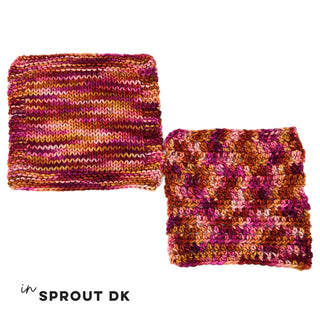 Summer Siesta | Sprout Worsted