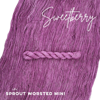 Sweetberry | Sprout Worsted Mini