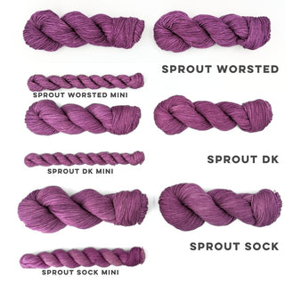 Sweetberry | Sprout DK Mini