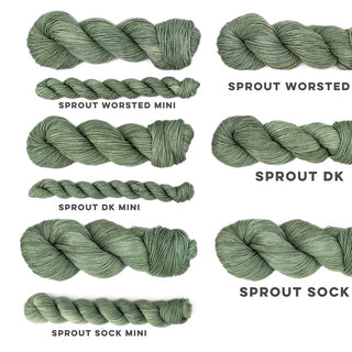 Thyme | Sprout DK Mini