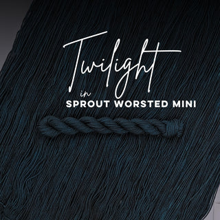 Twilight | Sprout Worsted Mini