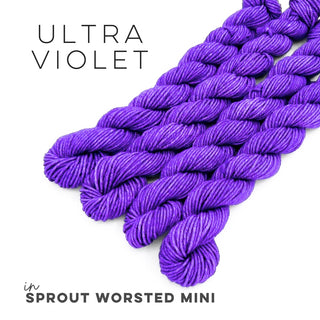 Ultra Violet | Sprout Worsted Mini