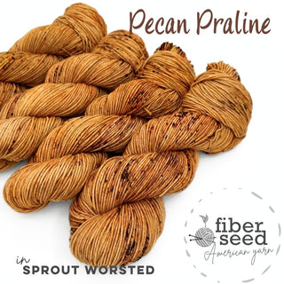 Pecan Praline | Sprout Worsted