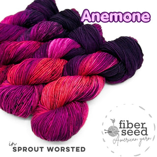 Anemone | Sprout Worsted