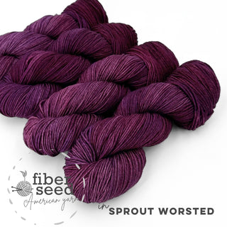 Purple Basil | Sprout Worsted