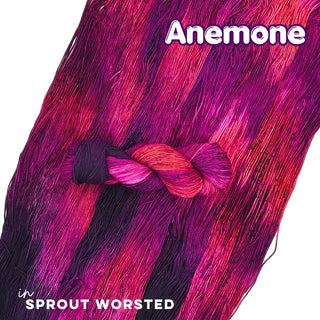 Anemone | Sprout Worsted