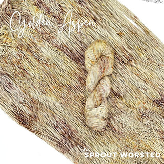 Golden Aspen | Sprout Worsted