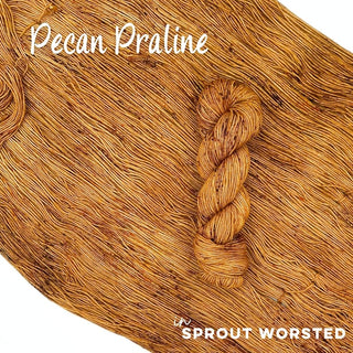 Pecan Praline | Sprout Worsted