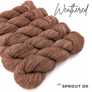 Weathered | Sprout DK
