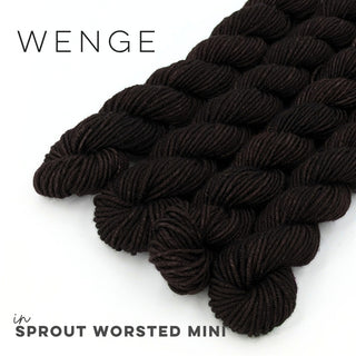 Wenge | Sprout Worsted Mini