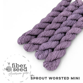 Wisteria | Sprout Worsted Mini