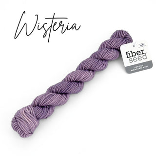 Wisteria | Sprout Worsted Mini