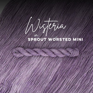 Wisteria | Sprout Worsted Mini