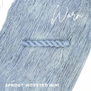Worn | Sprout Worsted Mini