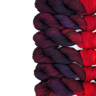 Dragon's Tail | Sprout Worsted
