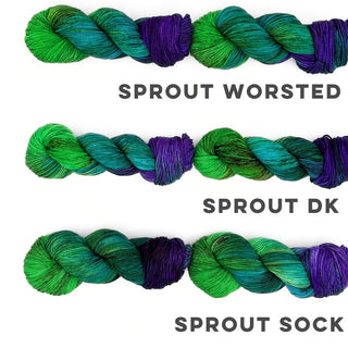 Irises | Sprout DK