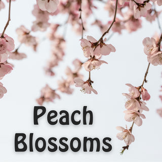 Peach Blossoms | Sprout Worsted