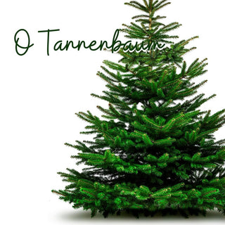 O Tannenbaum | Sprout Sock
