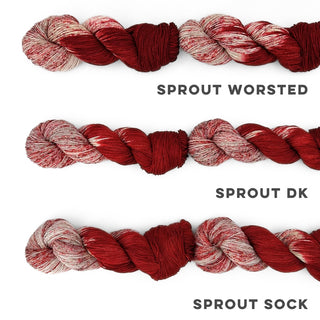 Apple Cider | Sprout DK